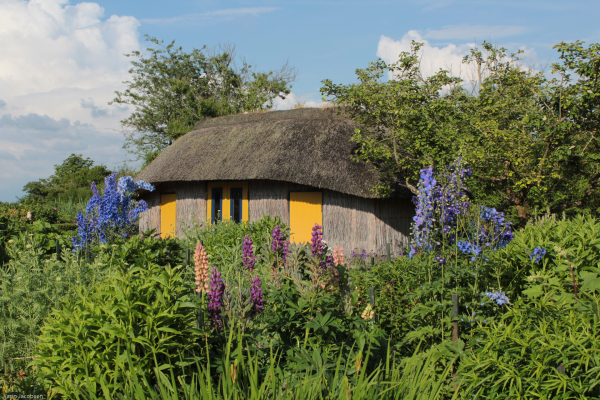 Nolde Museum, Garten