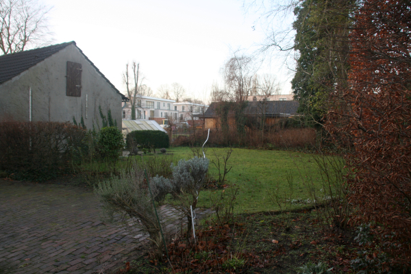 Pflegeleichter Garten