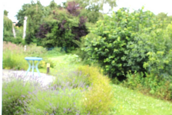 Idyllischer Garten