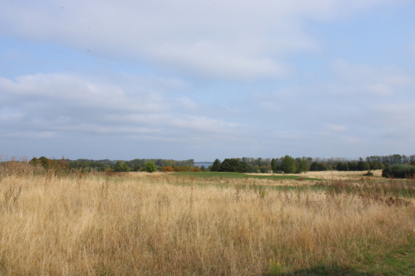 Blick zur Ostsee