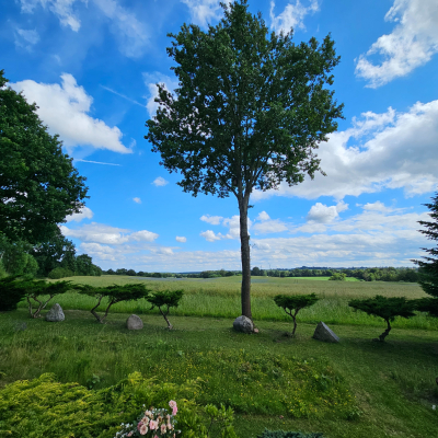 Blick in die Natur