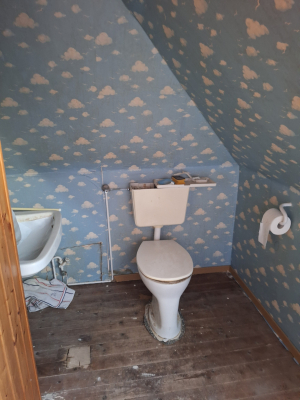 WC DG